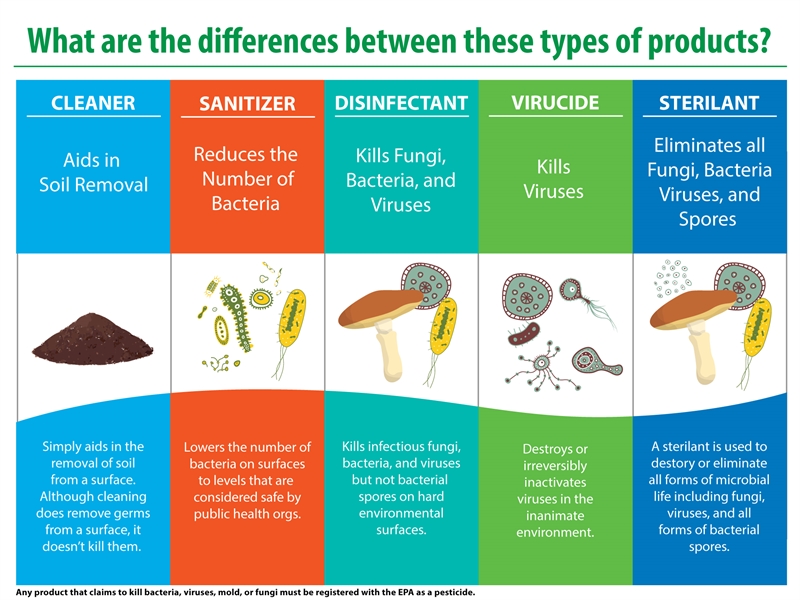 Sanitizers vs. Disinfectants: What's the Difference?
