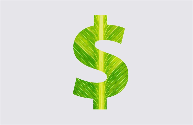 5 Steps To Make Your Business More Green (And Save Money!)