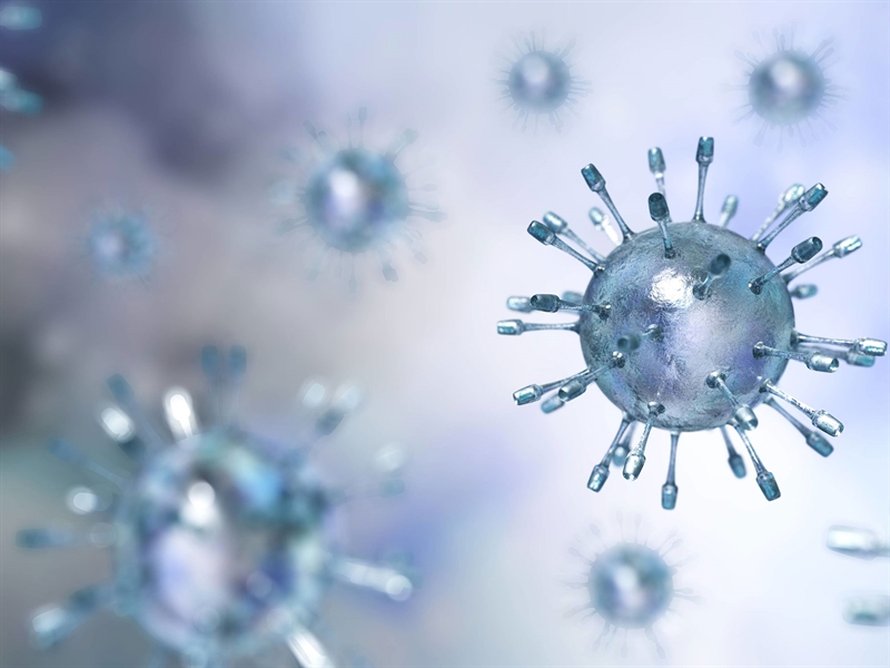 Updated: The Latest on the Coronavirus (COVID-19)