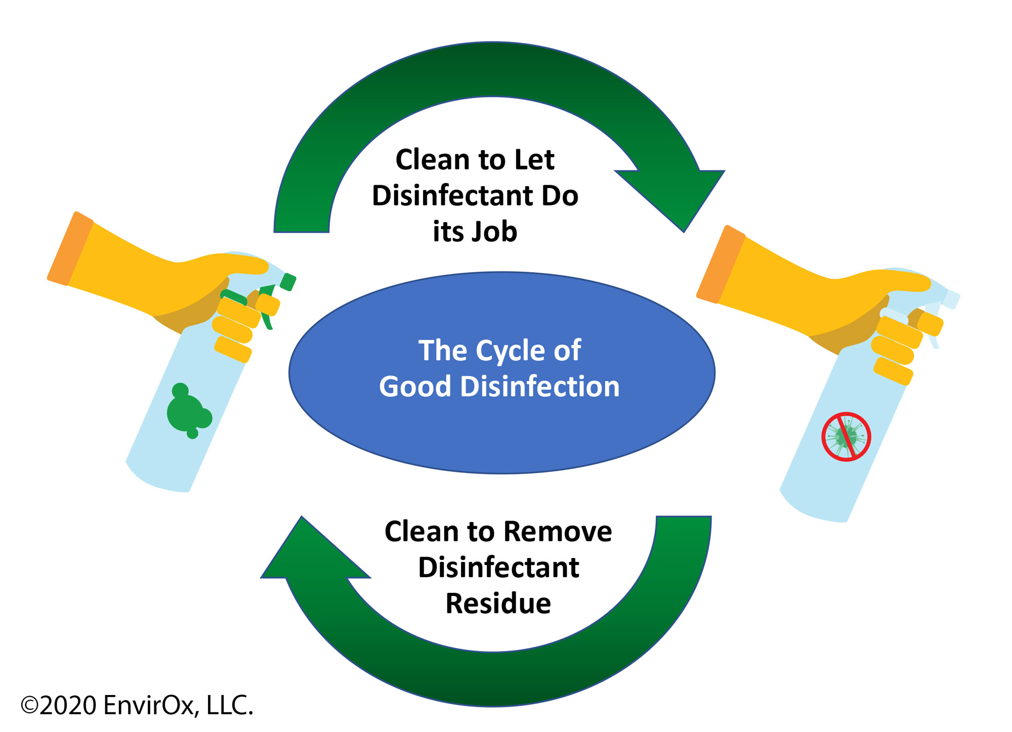 They Cycle of Disinfection